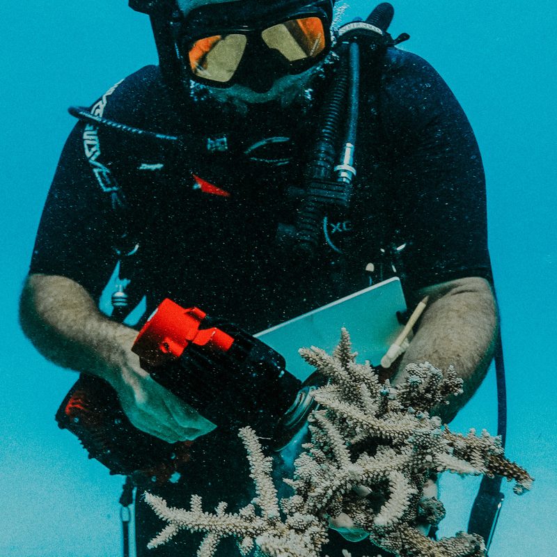 Nemo Angle Grinder - 50M V2