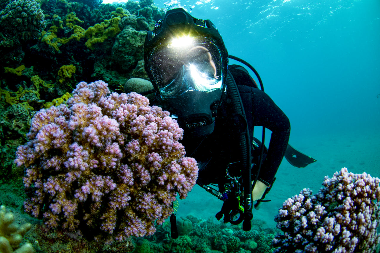 Vesper - Lumina integrata