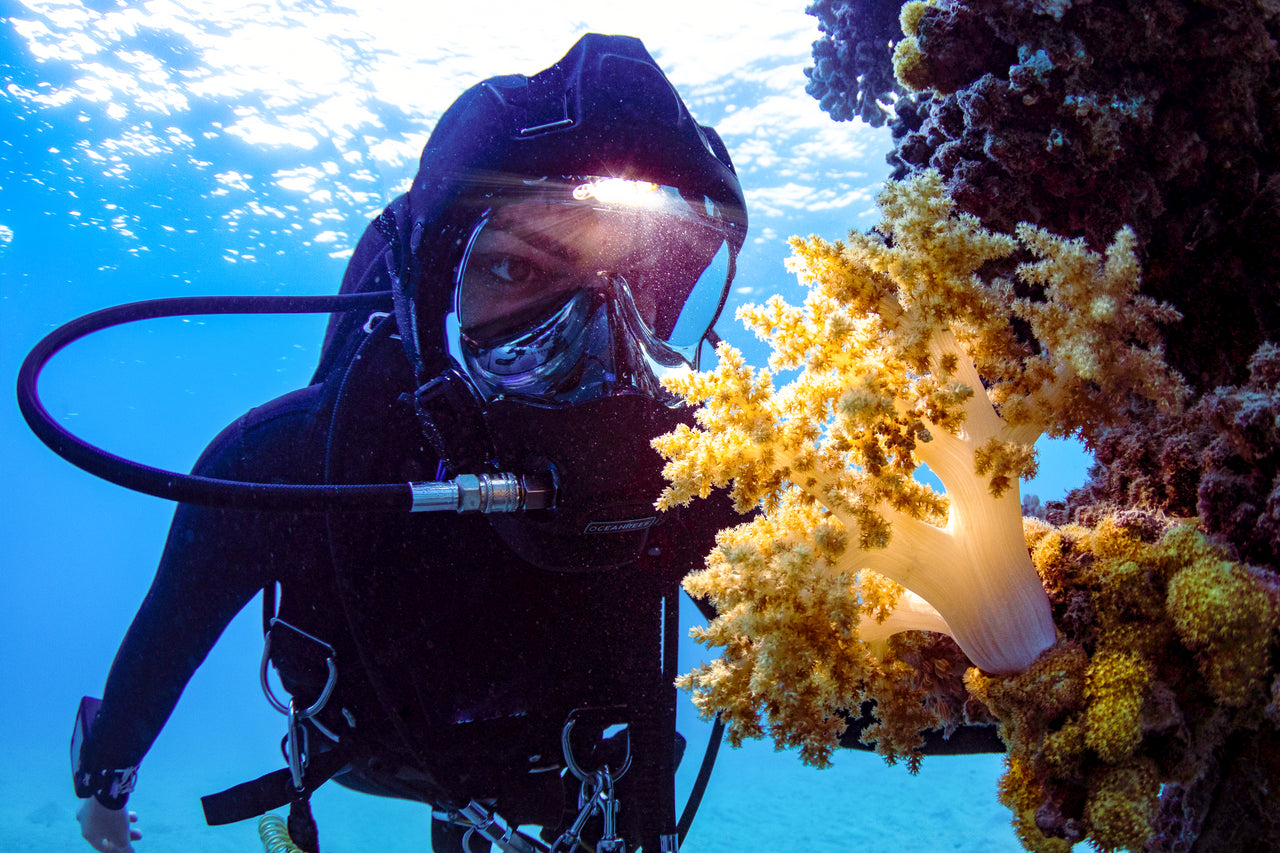 Vesper - Lumina integrata