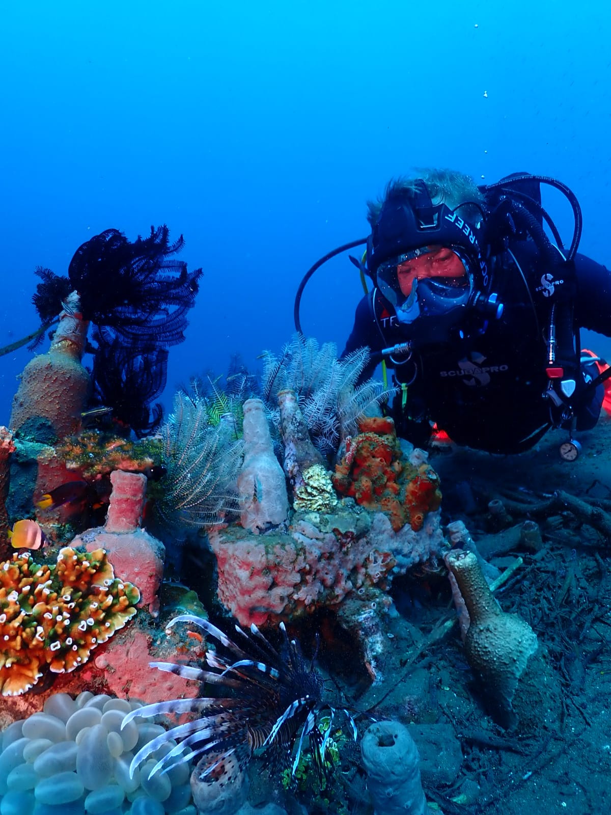 CURS ON-LINE IDM OCEAN REEF