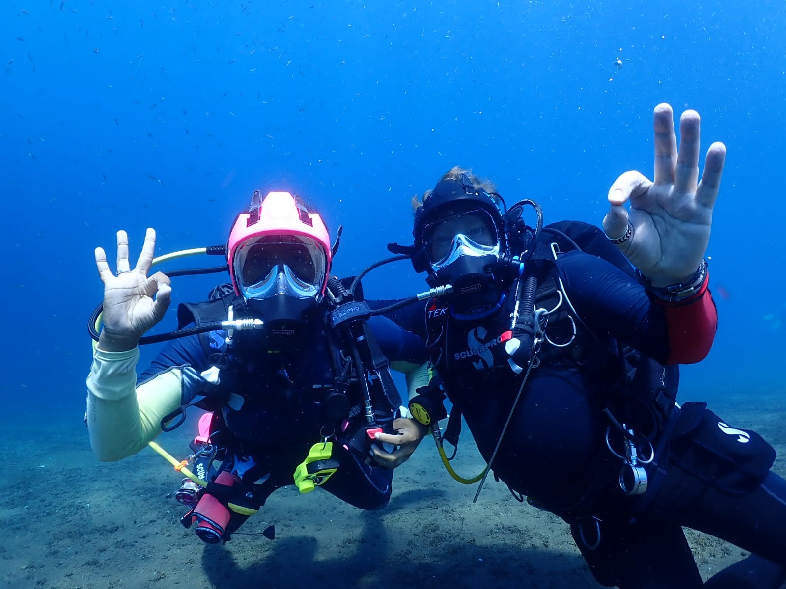 CURS ON-LINE IDM OCEAN REEF
