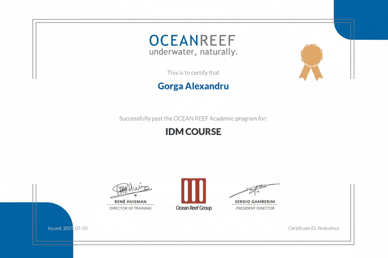 Certificate IDM - mărit